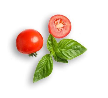 tomato
